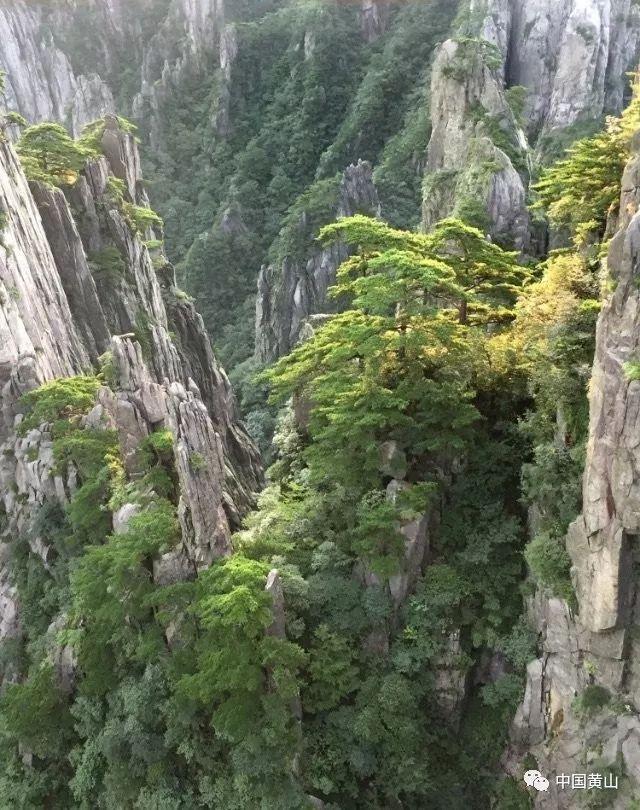 浪漫衣裙